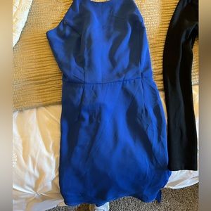 Naked Zebra Dress - MEDIUM